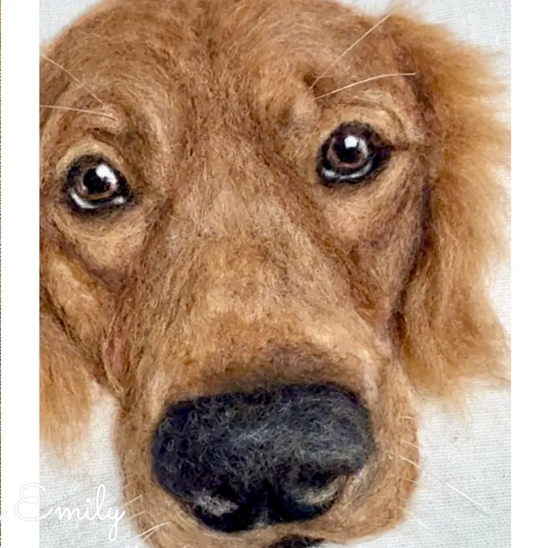 Close-up of the needle felted golden retriever portrait named Simbi Kuri, showing wool texture detail