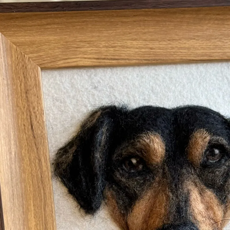 Framed needle felted black and tan dog portrait beside reference photos
